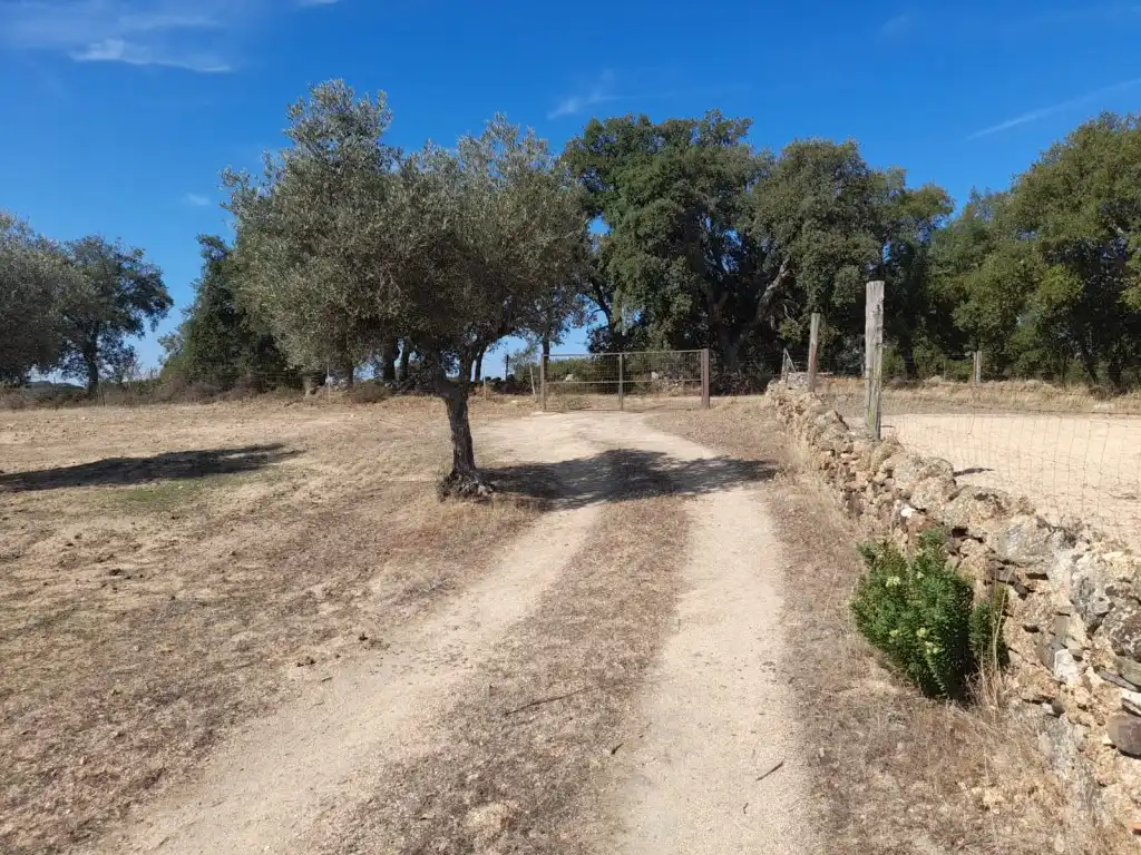 Casa o xalet en venda en San Vicente de Alcántara