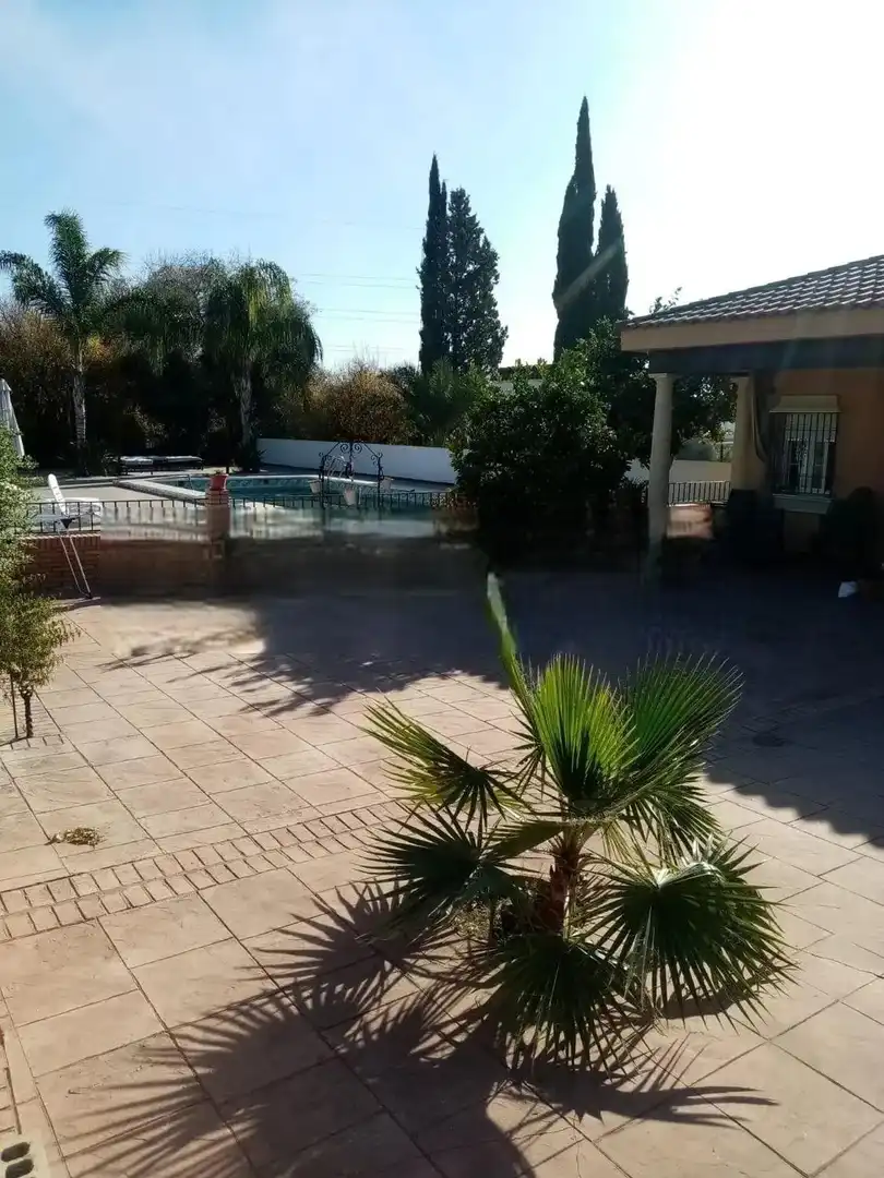 Piscina de Casa o xalet en venda en Córdoba amb Aire condicionat, Piscina i Moblat