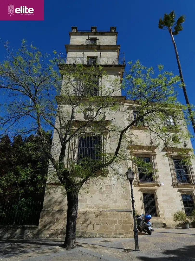 Exterior view of Houses for sale in Jerez de la Frontera