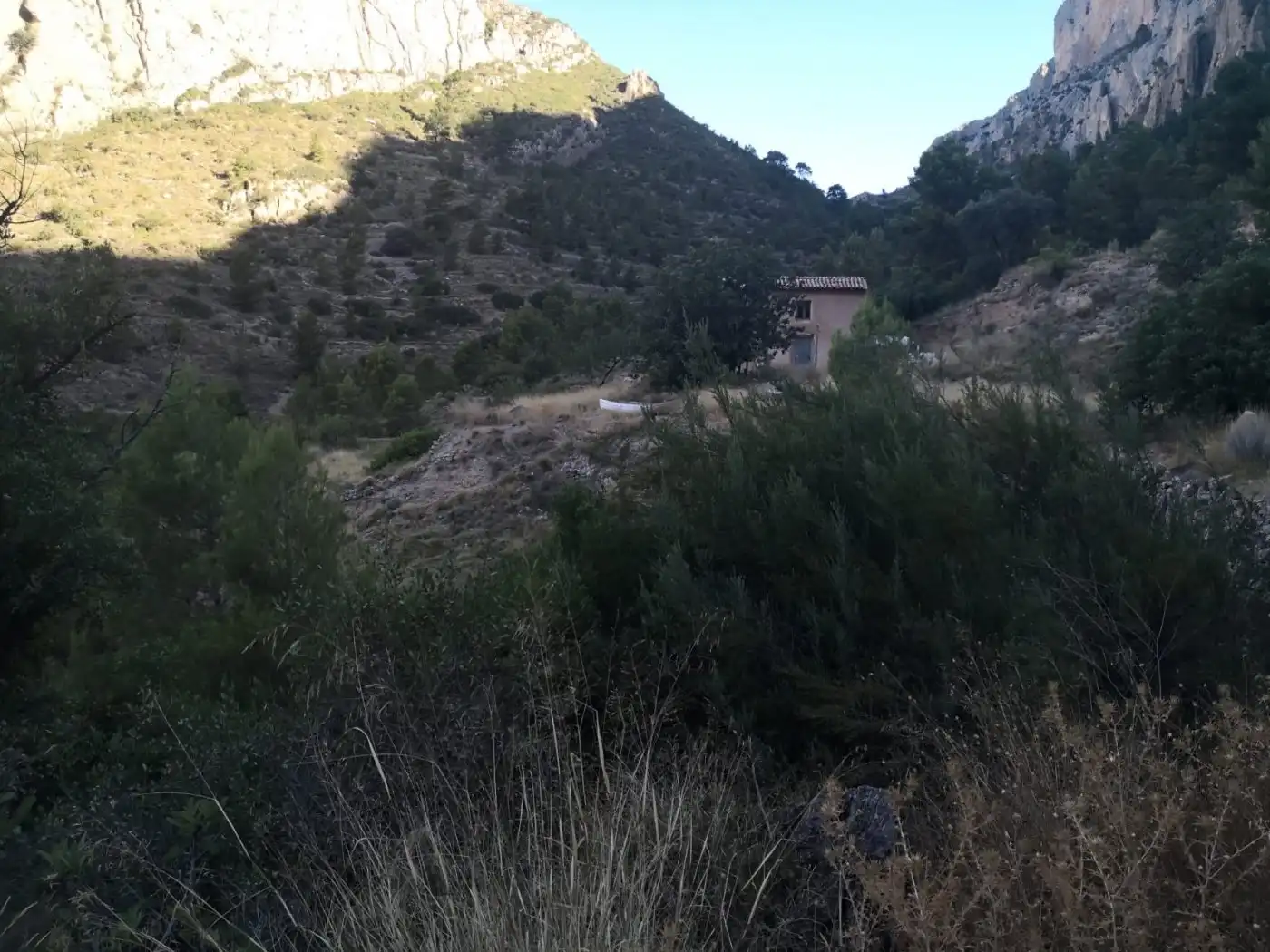Terreny rústic en venda a Partida raco de seva, imagen 9