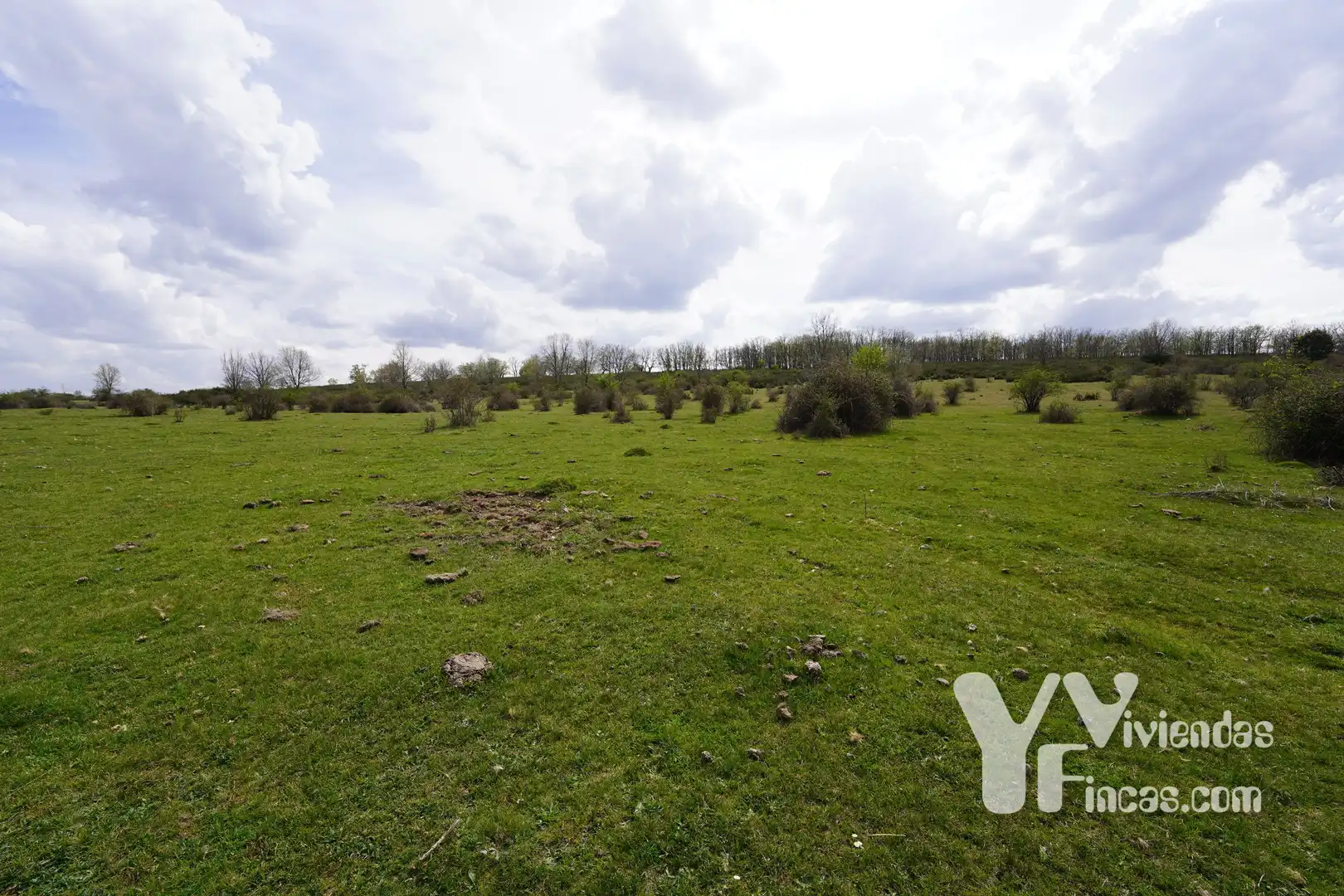Terreno rústico en venta en Campillo de Ranas, imagen 23