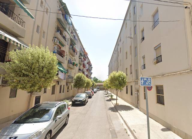 Piso en Venta en Rey Carlos I, 7, 7 en Nuevo Centro