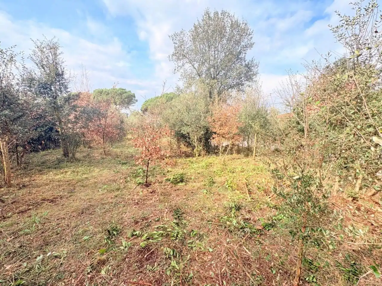 Residential for sale in Caldes de Malavella