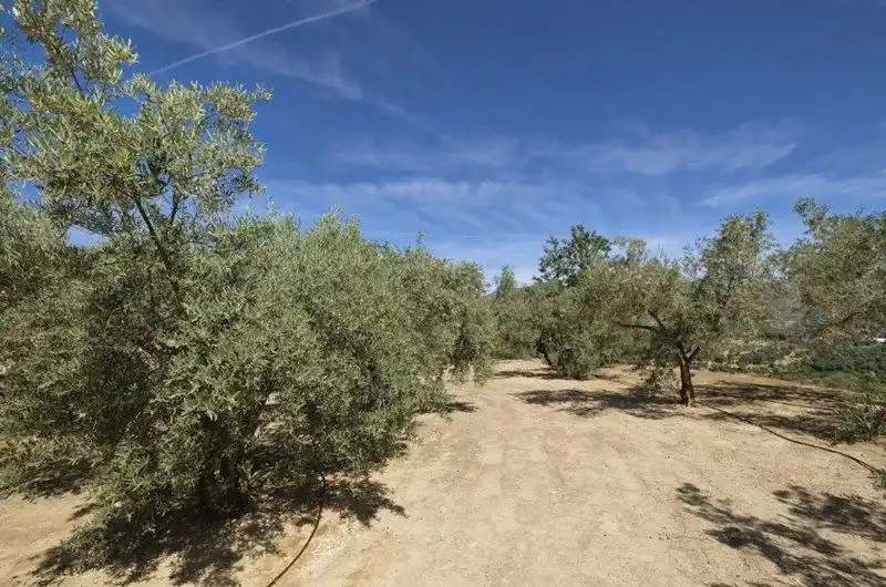 Terreno rustico in vendita a El Valle, imagen 19