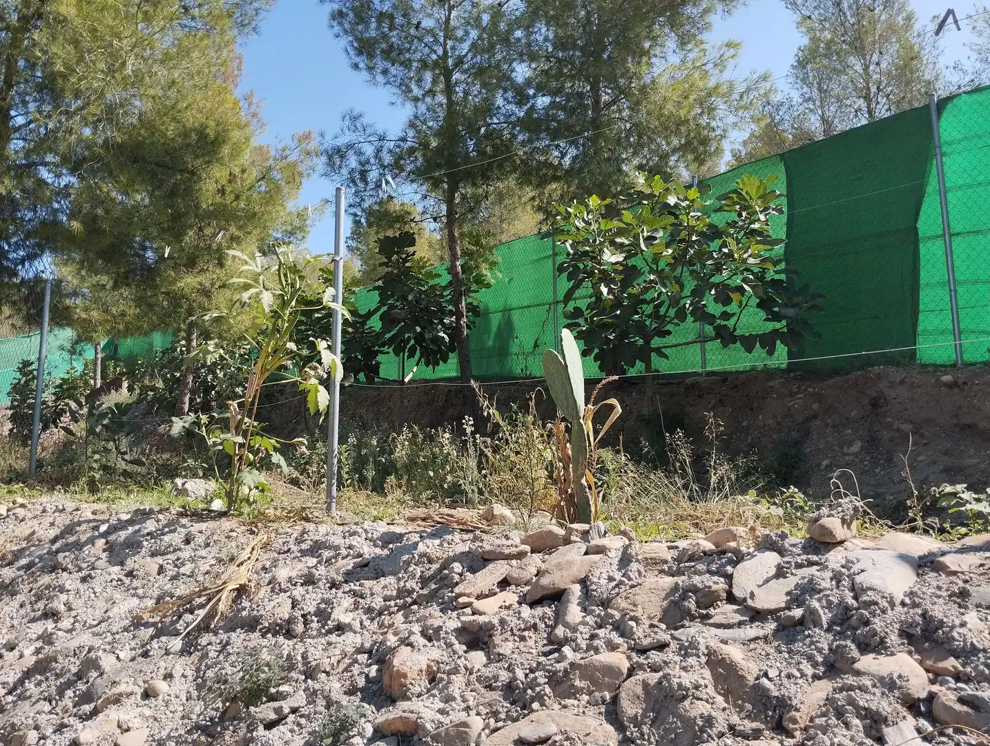 Terreno rustico in vendita a Santa Fe de Mondújar, imagen 56