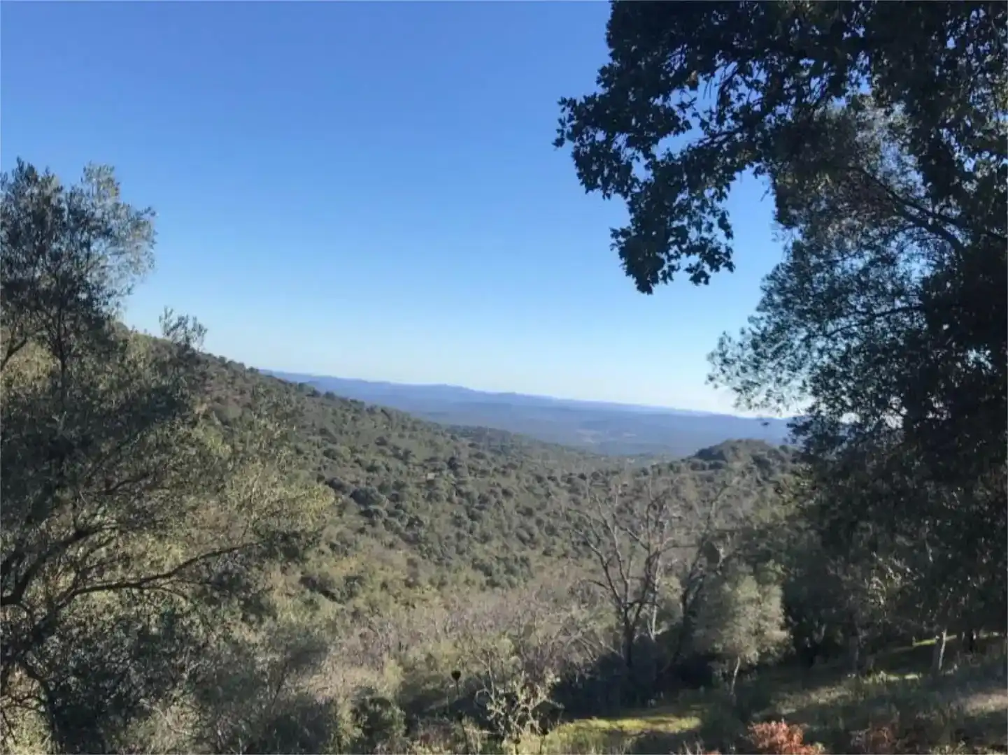 Terreno en venta en Calera de León