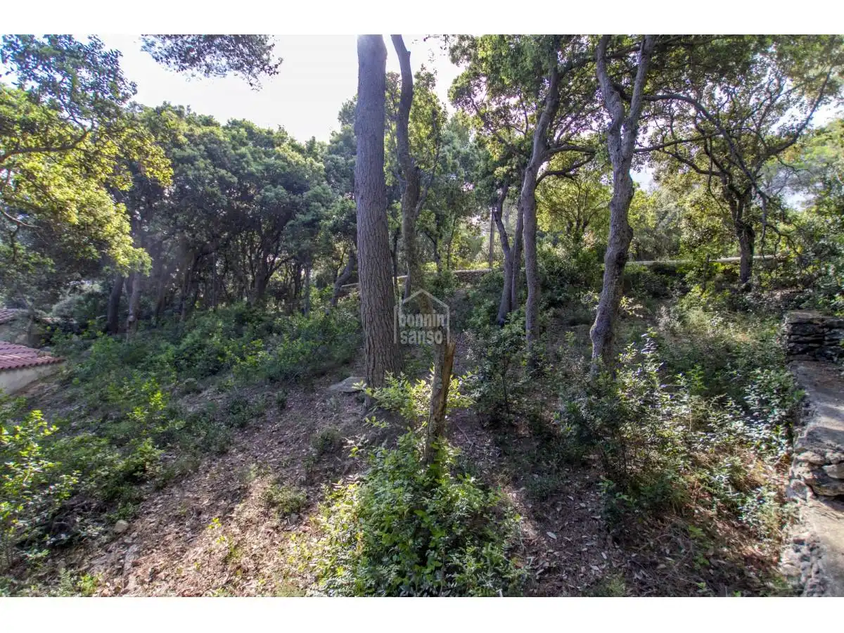 Casa rústica con piscina en venta en Es Mercadal poble, imagen 43