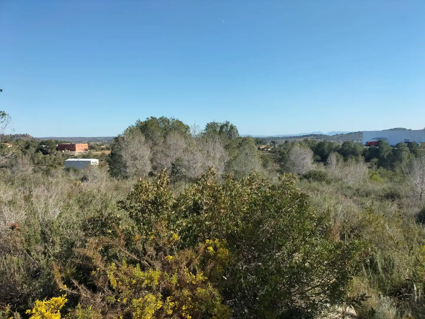 Terreno rustico in vendita a Polígono 9 Parcela 578 EL PORRE. NAVARRES (VALENC, imagen 7