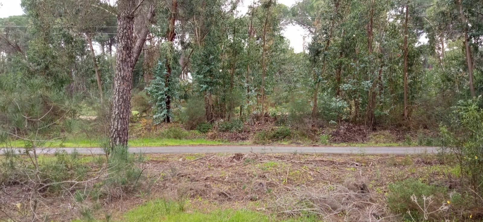 Country house for sale in Beas