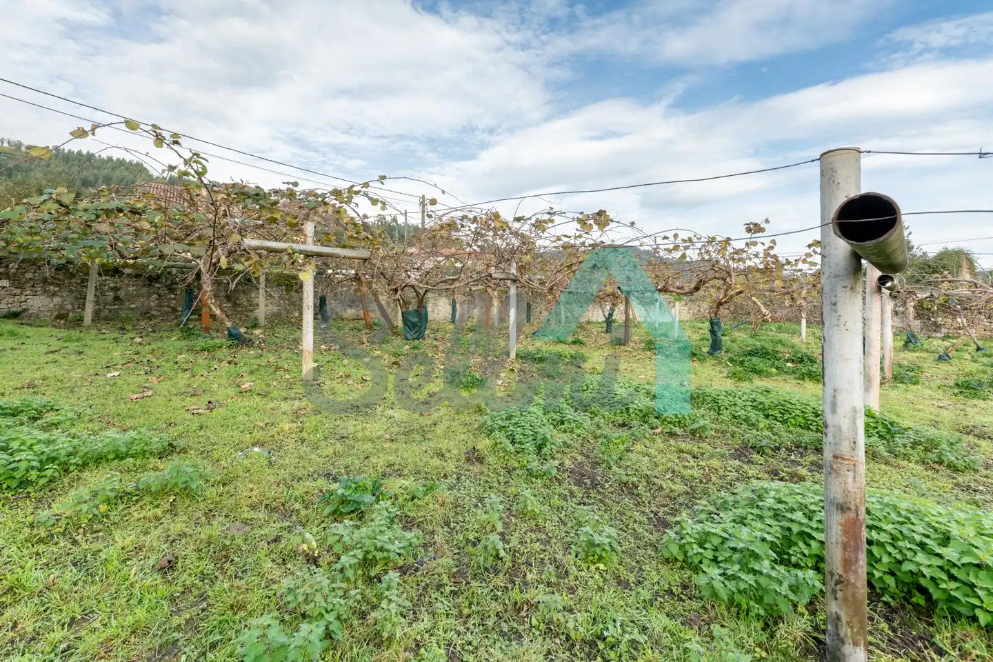 Casa con giardino in vendita a AS-331, imagen 17