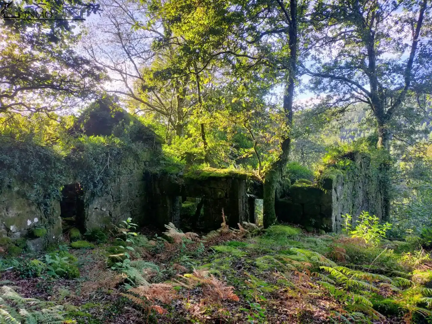 Maison avec jardin à vendre à Cotobade, imagen 3