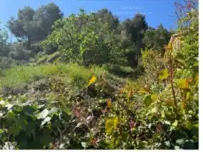 Terreno rustico in vendita a Piera, imagen 6