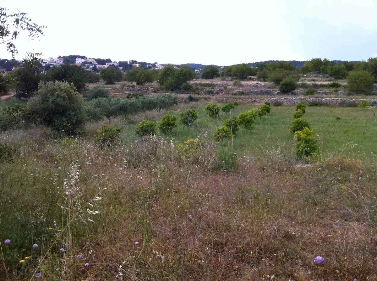 Terrenys i solars en venda a CASTELL DE MONTORNES 1, imagen 8