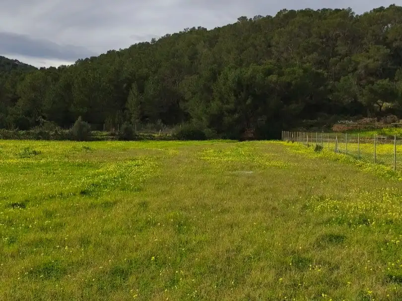 Residencial en venda en Sant Joan de Labritja