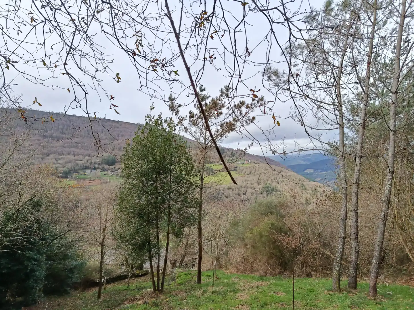 Finca rústica en venda en A Pontenova   amb Jardí privat, Terrassa i Balcó