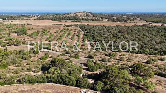 Terreno en Venta en Sant Llorenç des Cardassar