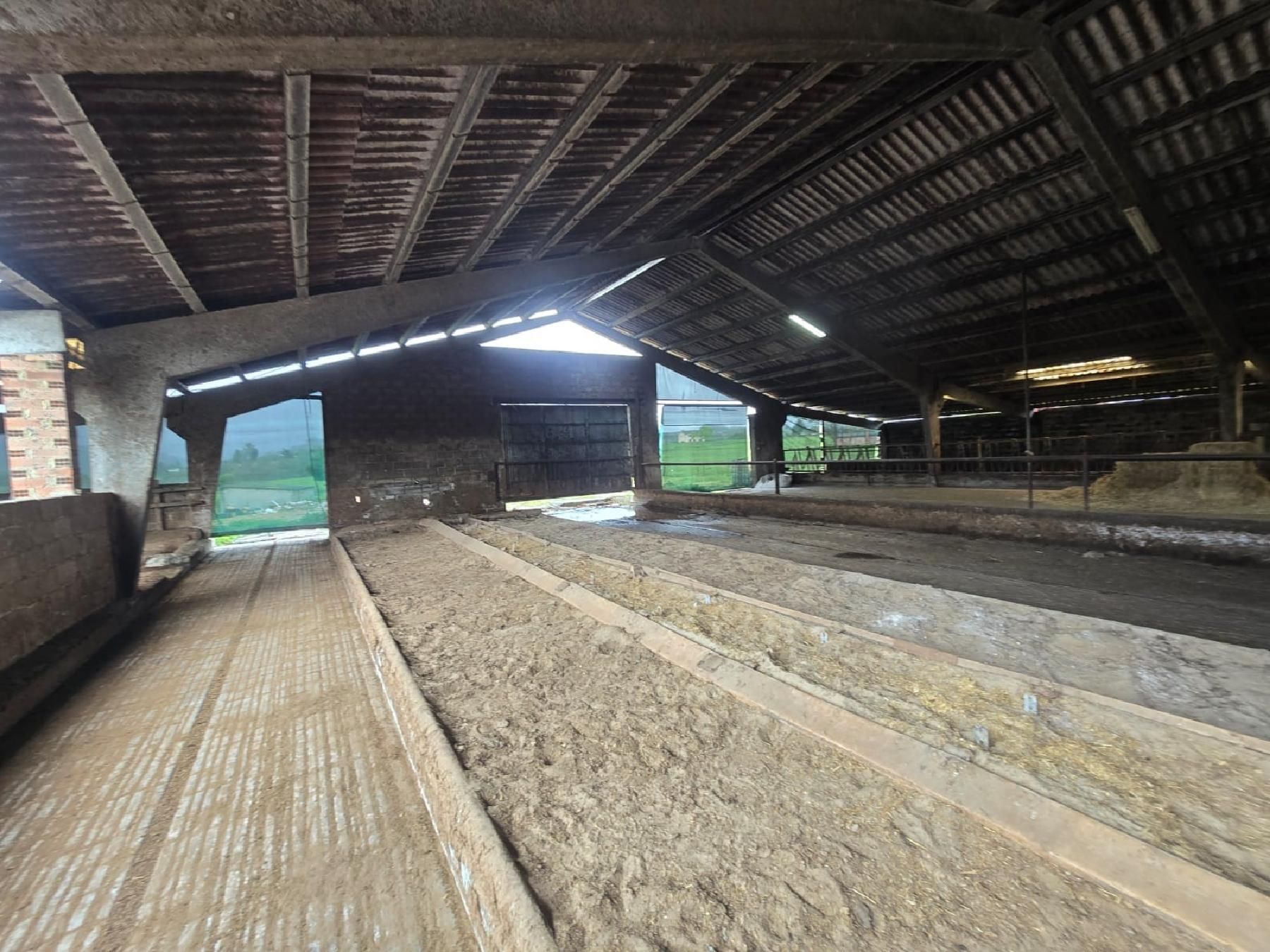 Exterior view of Industrial buildings for sale in Llanera