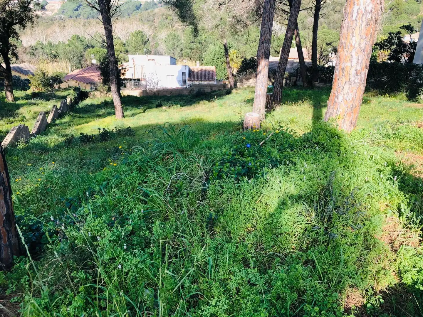Residential for sale in Mas Mora - Sant Daniel