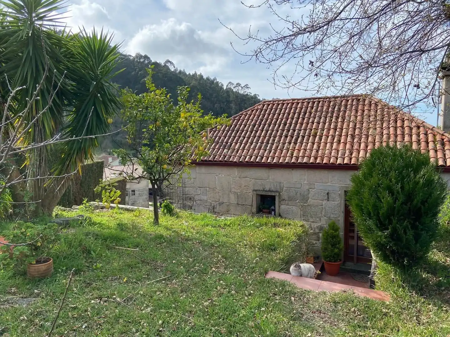 Vista exterior de Casa o xalet en venda en Meaño amb Jardí privat