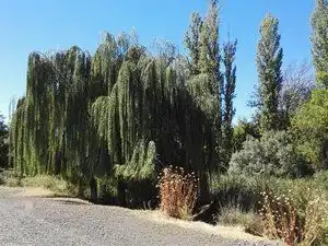 Vista exterior de Terreno en venta en Piedrabuena