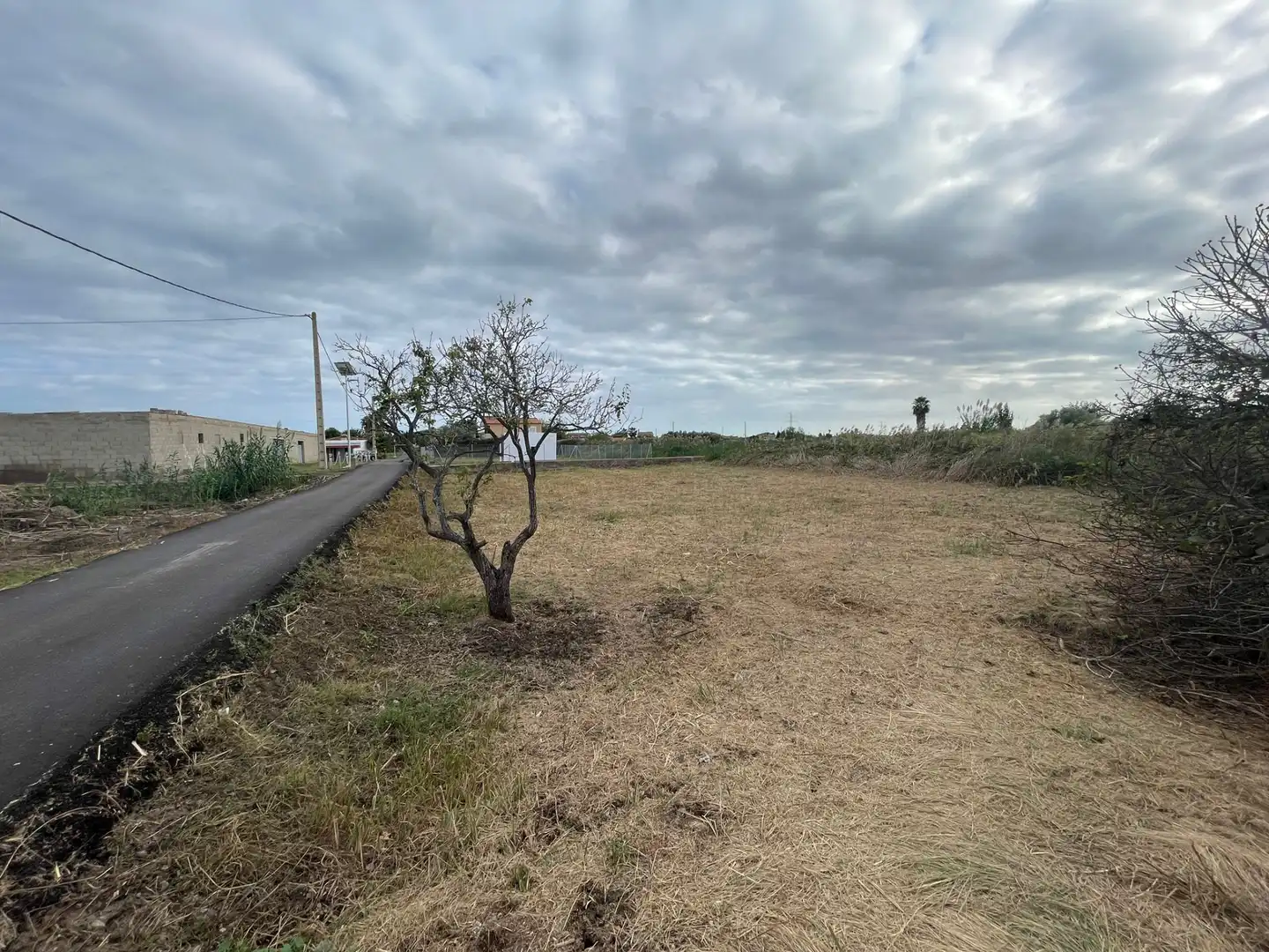 Terreny rústic en venda a Camí de l'Obra 1234, imagen 12