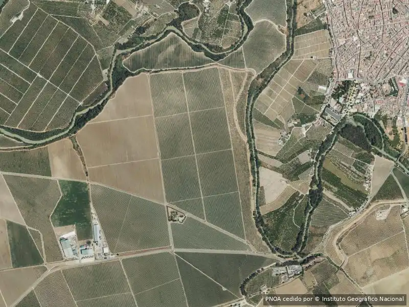 Appartamento in vendita a Palma del Río, imagen 4