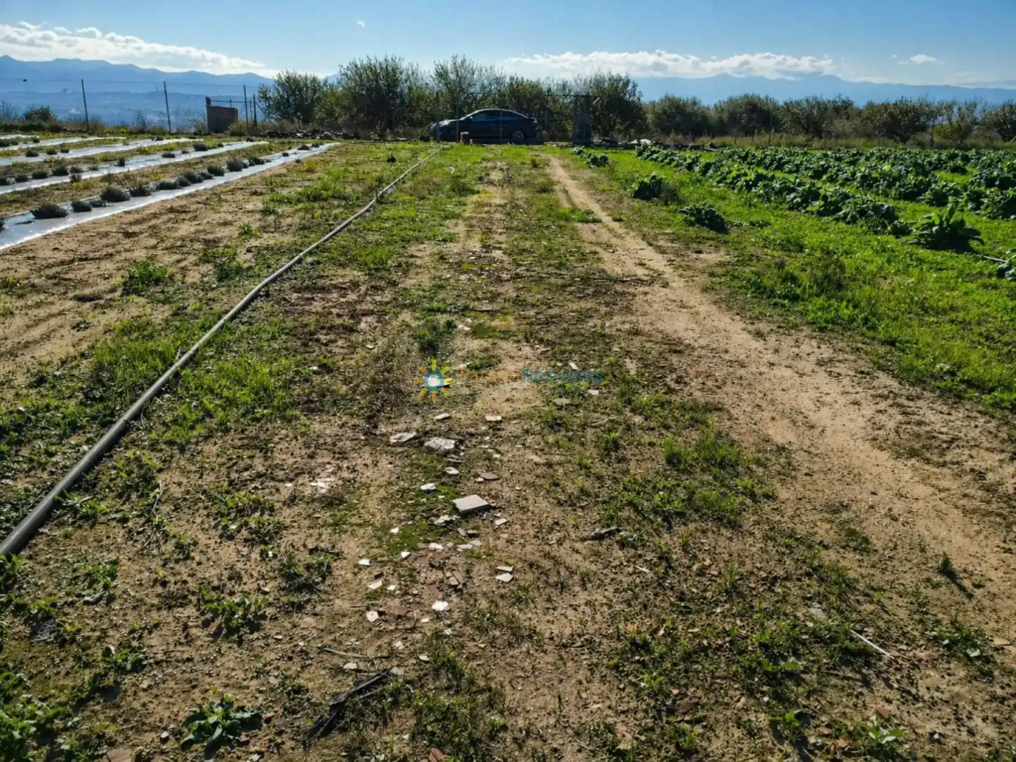 Finca rústica en venda en Benigànim amb Terrassa i Traster