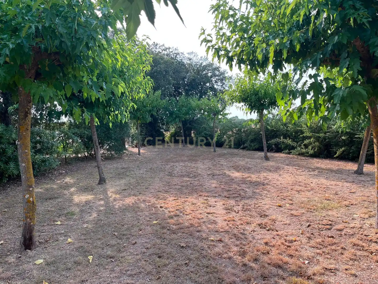 Résidentiel à vendre à LG PANEDES 2(A) Polígono 6 Parcela \1. LLAGOSTERA (GIRONA), imagen 11