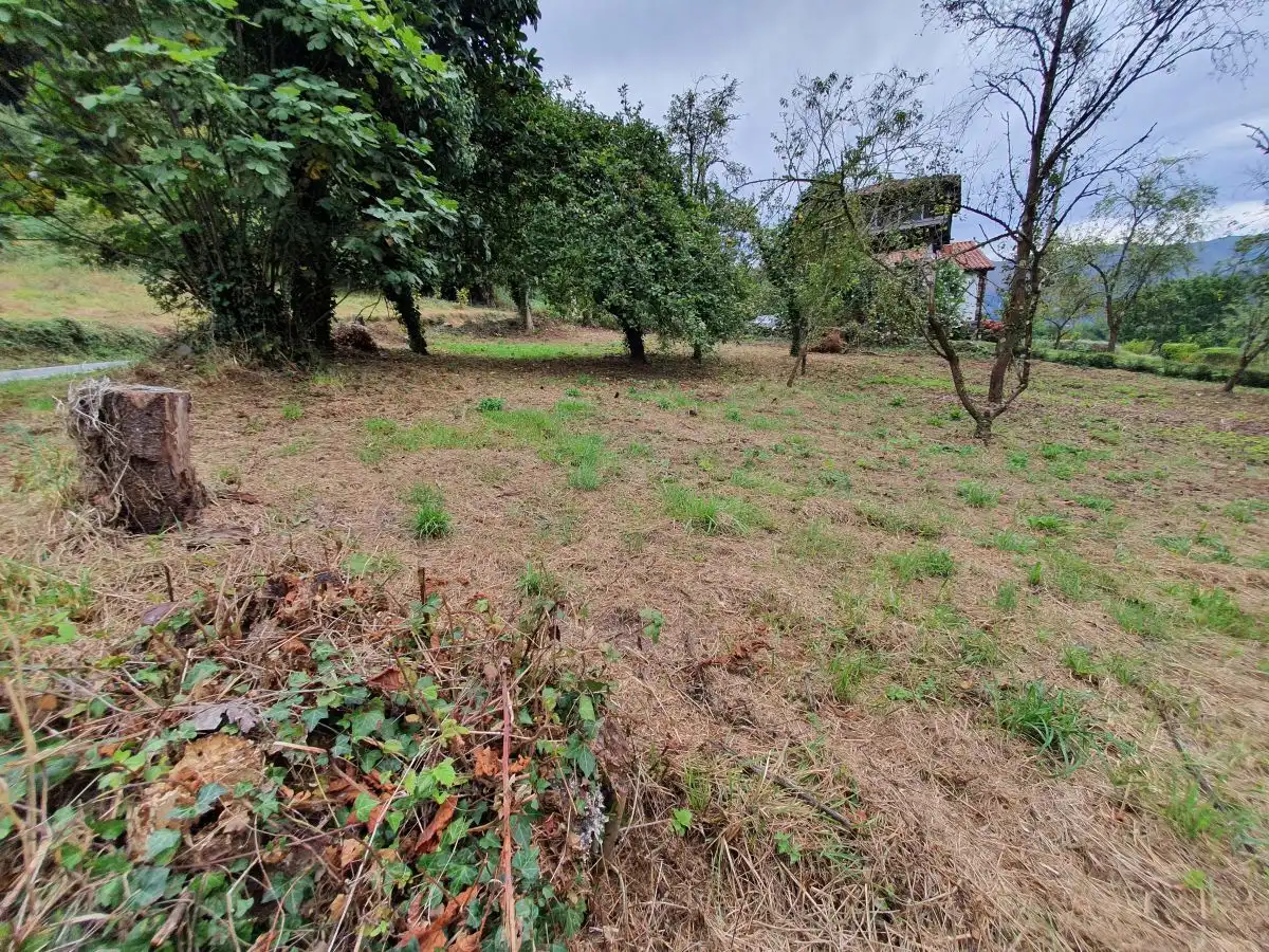 Casa o xalet en venda en Salas amb Jardí privat i Terrassa