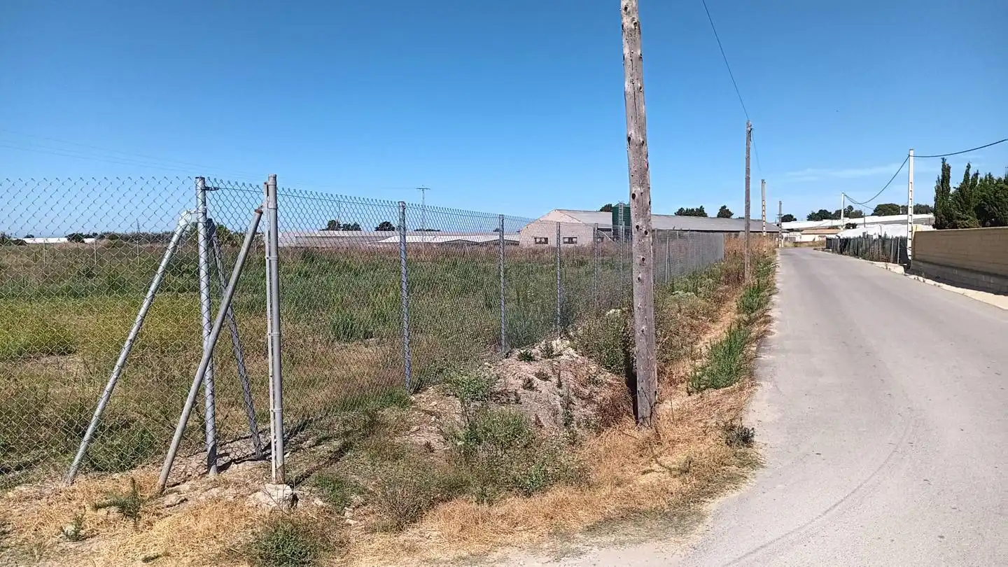 Terreni e lotti in vendita a Los Llanos, imagen 7