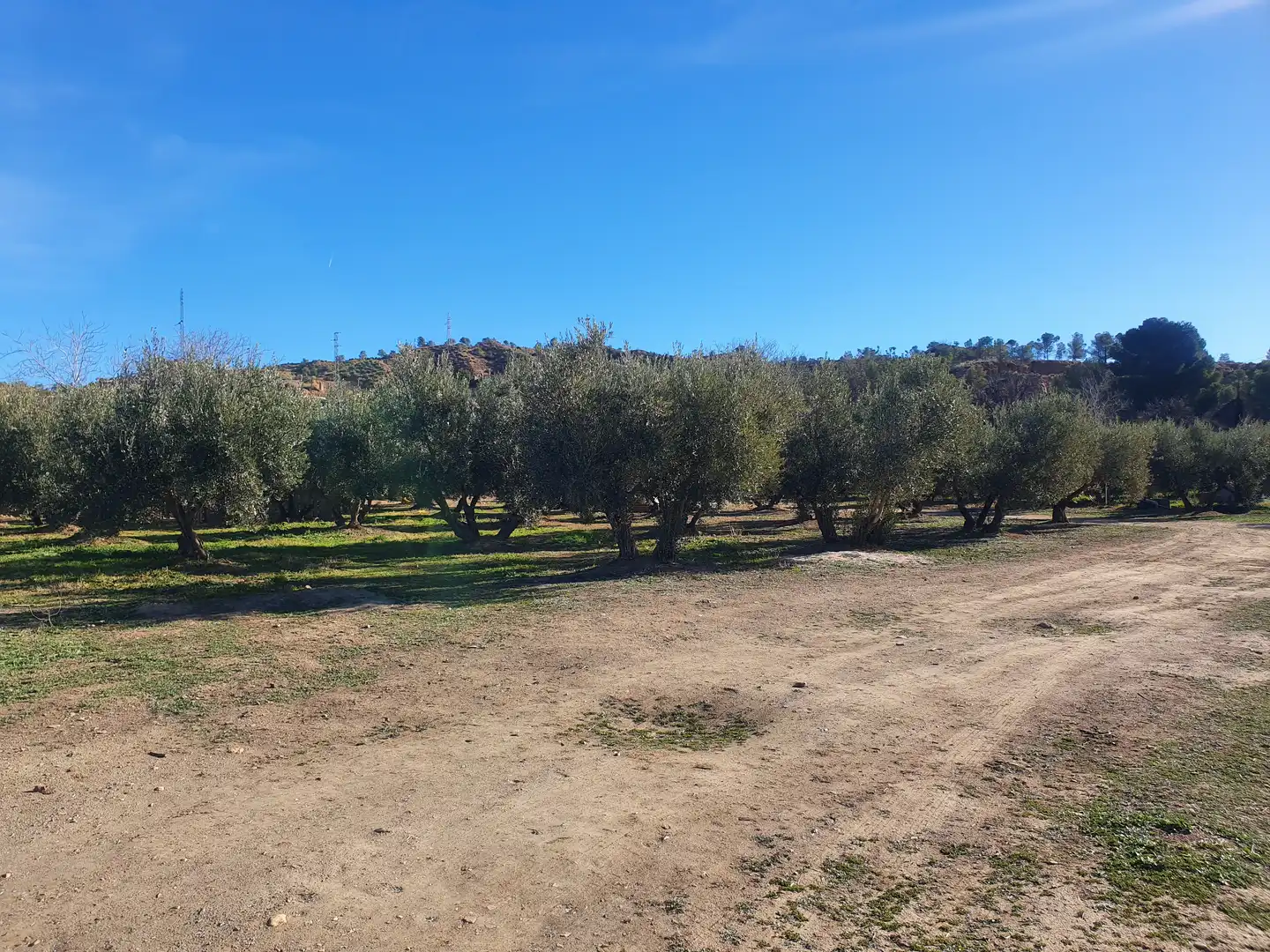 Terreni e lotti in vendita a Guadix, imagen 4