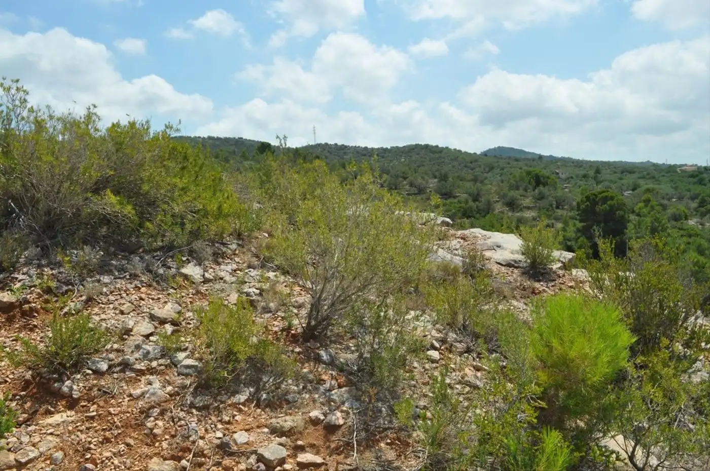 Land for sale in Camí del Barranc de la Llet, 26, Sant Llàtzer