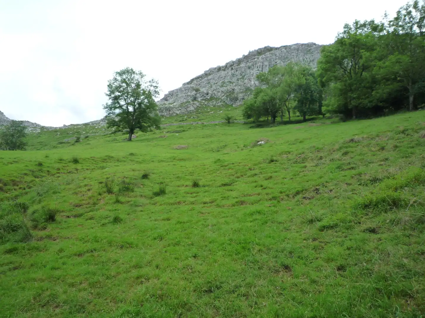 Terreno rustico in vendita a Liérganes, imagen 5