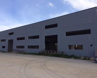 Exterior view of Industrial buildings for sale in Castielfabib