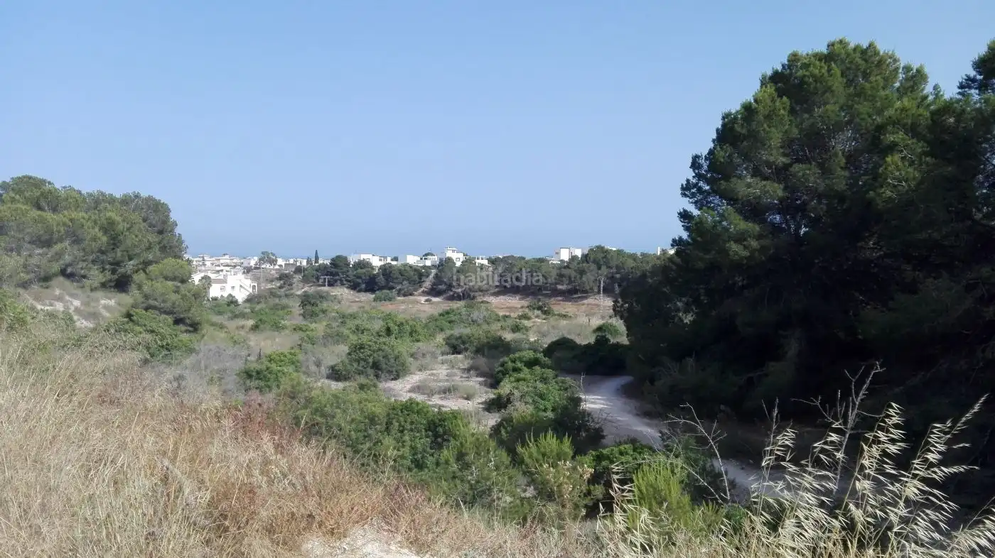 Terreno rustico in vendita a Avenida Galgos 50, imagen 6