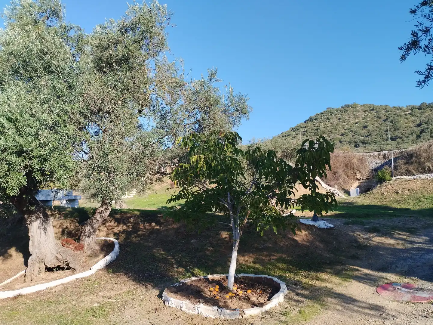 Casa rústica amb jardí en venda a Jerez de los Caballeros, imagen 8
