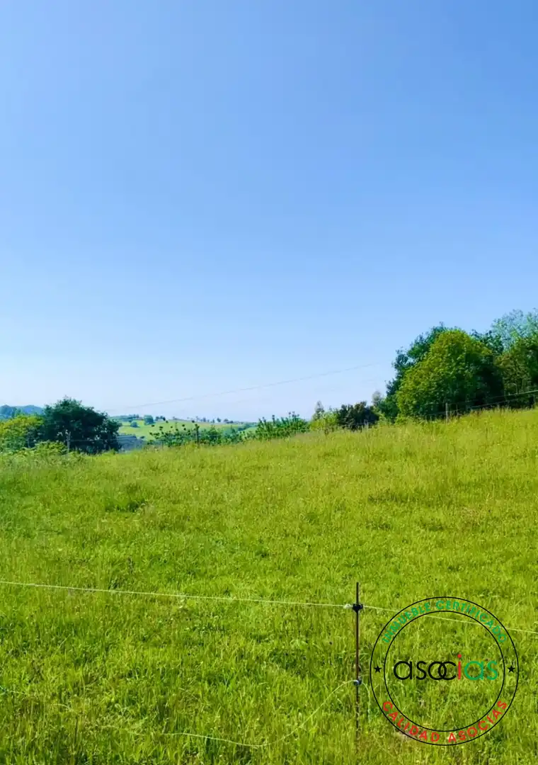 Rustikales Grundstück zum Verkauf in Ribadesella - sardalla, imagen 5