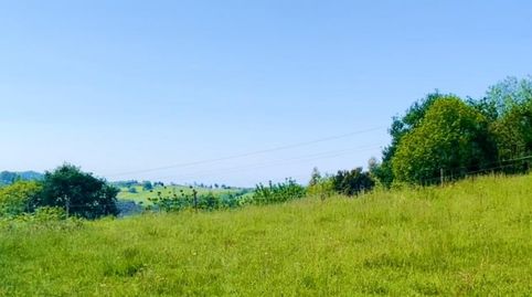 VENTA DE FINCA EN SARDALLA, immagine 5