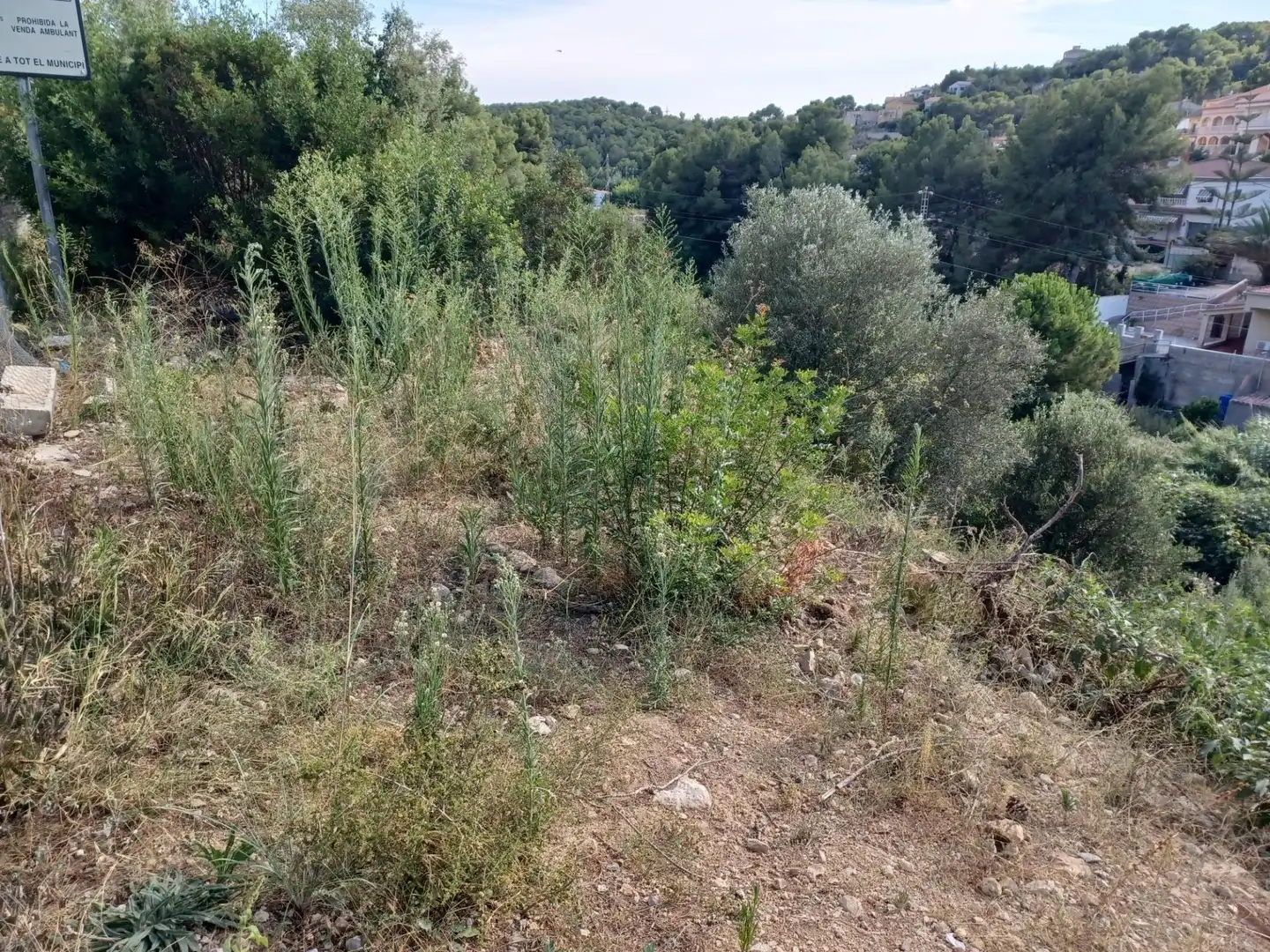 Terreno residencial en venta en Costa Cunit - Els Jardins - Els Rosers, imagen 10
