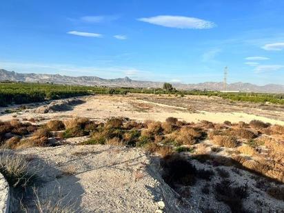 Land for sale in Orihuela