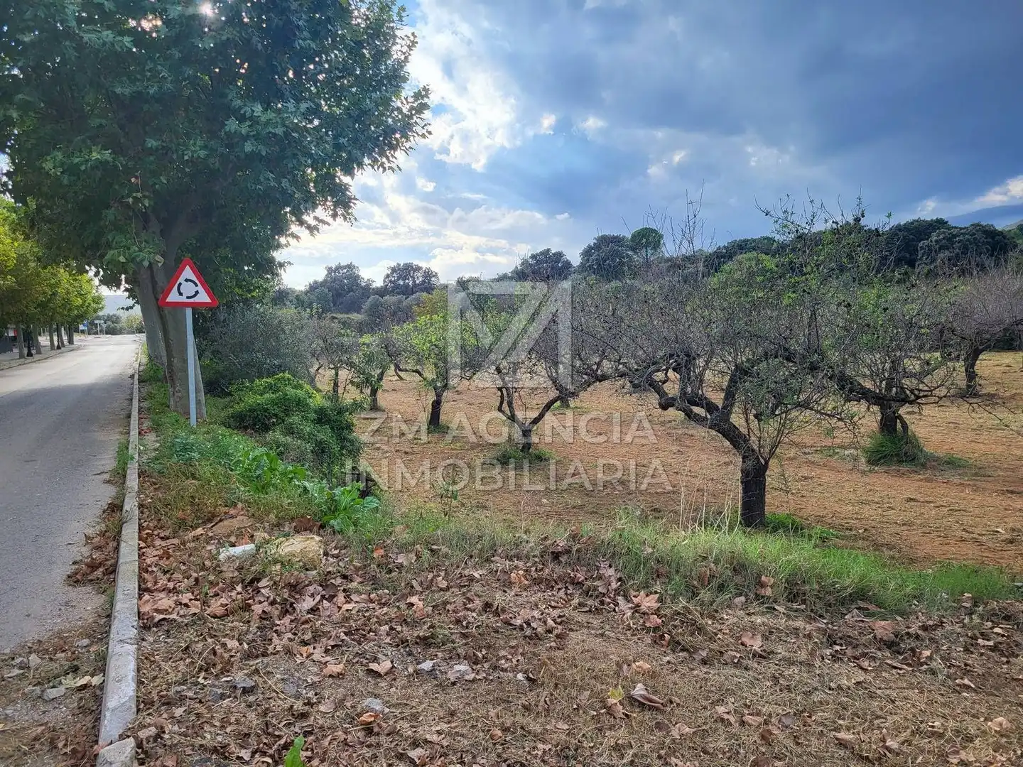 Terreno rustico in vendita a Traiguera, imagen 19