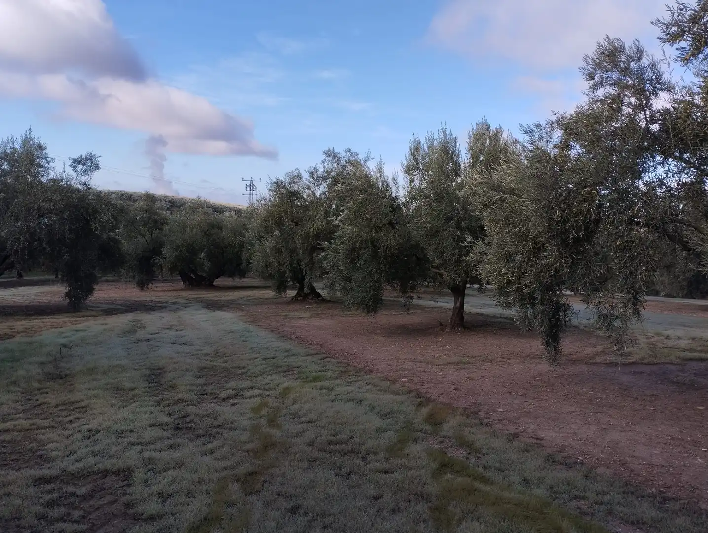 Finca rústica en venta en Cabra