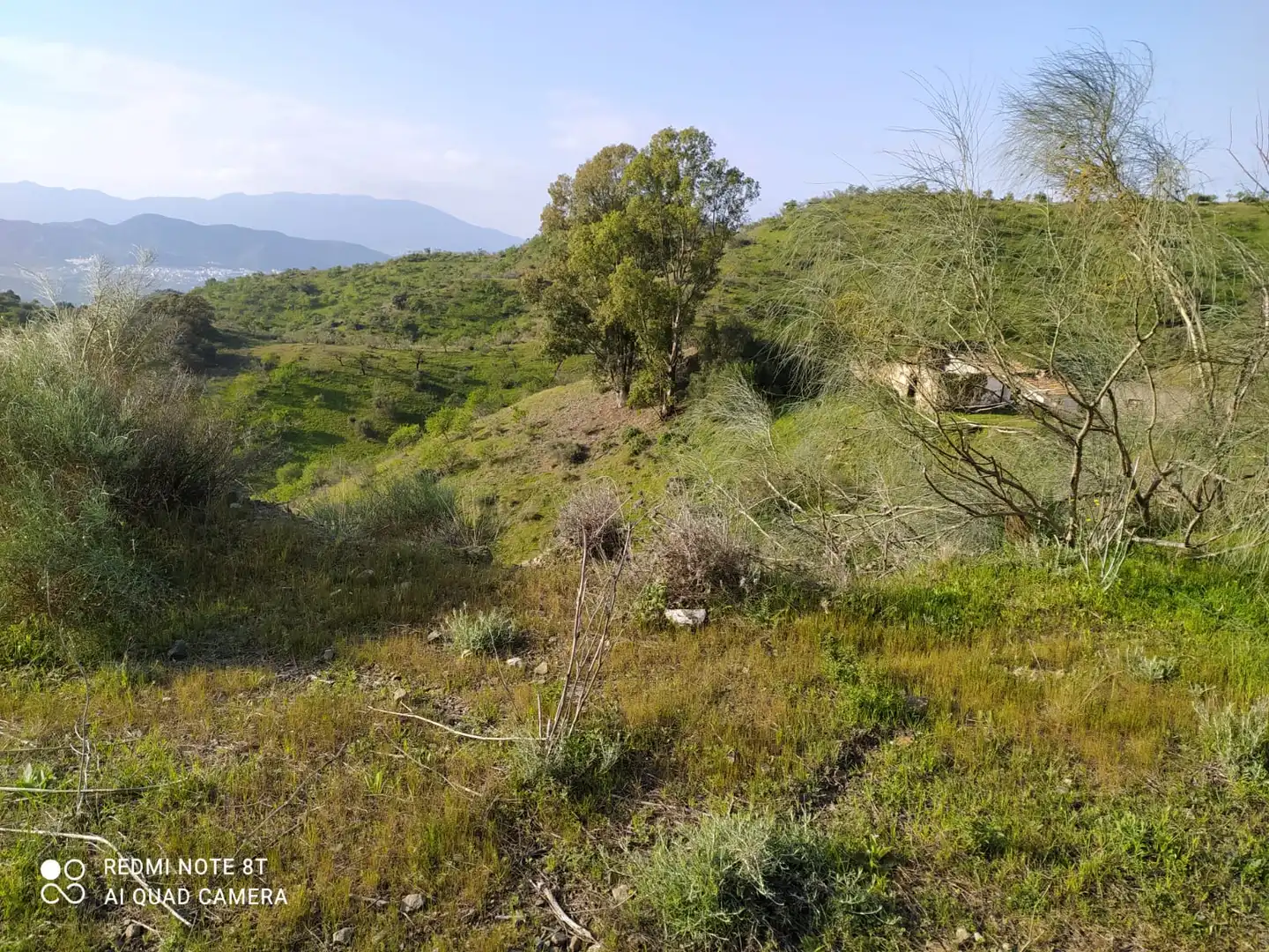 Rural land for sale in Nueva Aljaima - Las Tres Leguas - Los Mondeños, imagen 3