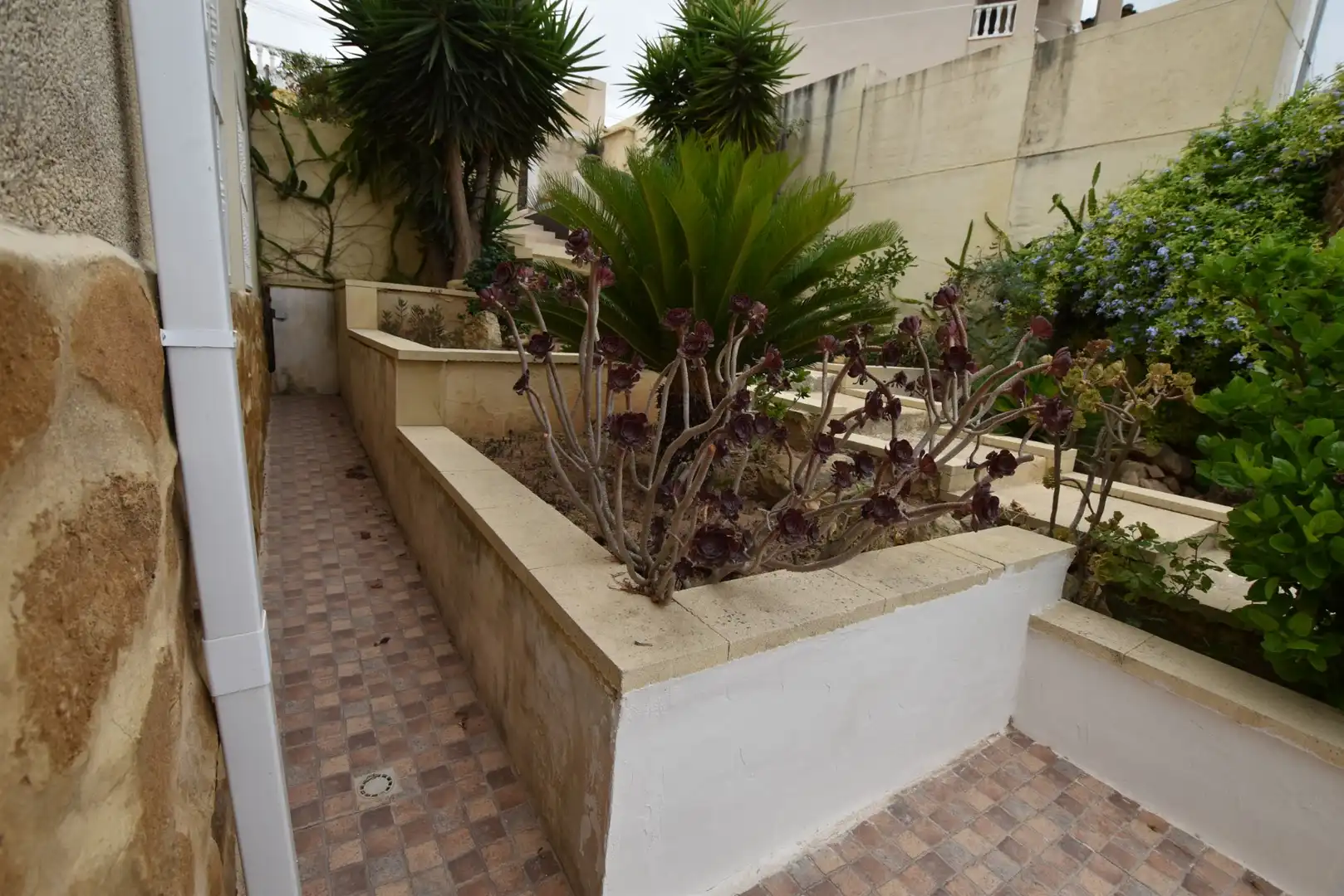 Studio à vendre à Algorfa, imagen 39