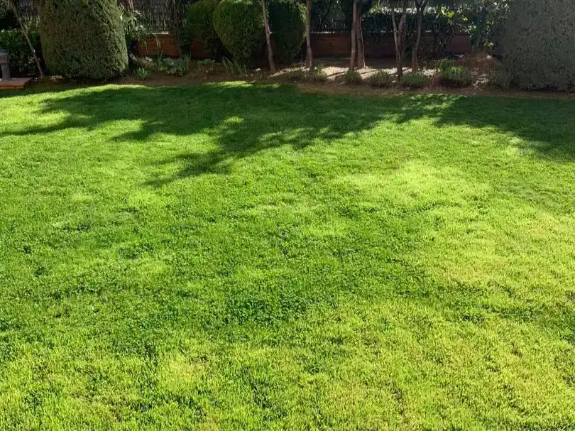 Garten von Wohnung zum Verkauf in  Madrid Capital mit Klimaanlage und Schwimmbad
