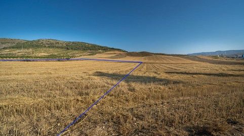FINCA RÚSTICA JUNTO CAÑADAS DEL PARQUE, DÍLAR, immagine 3