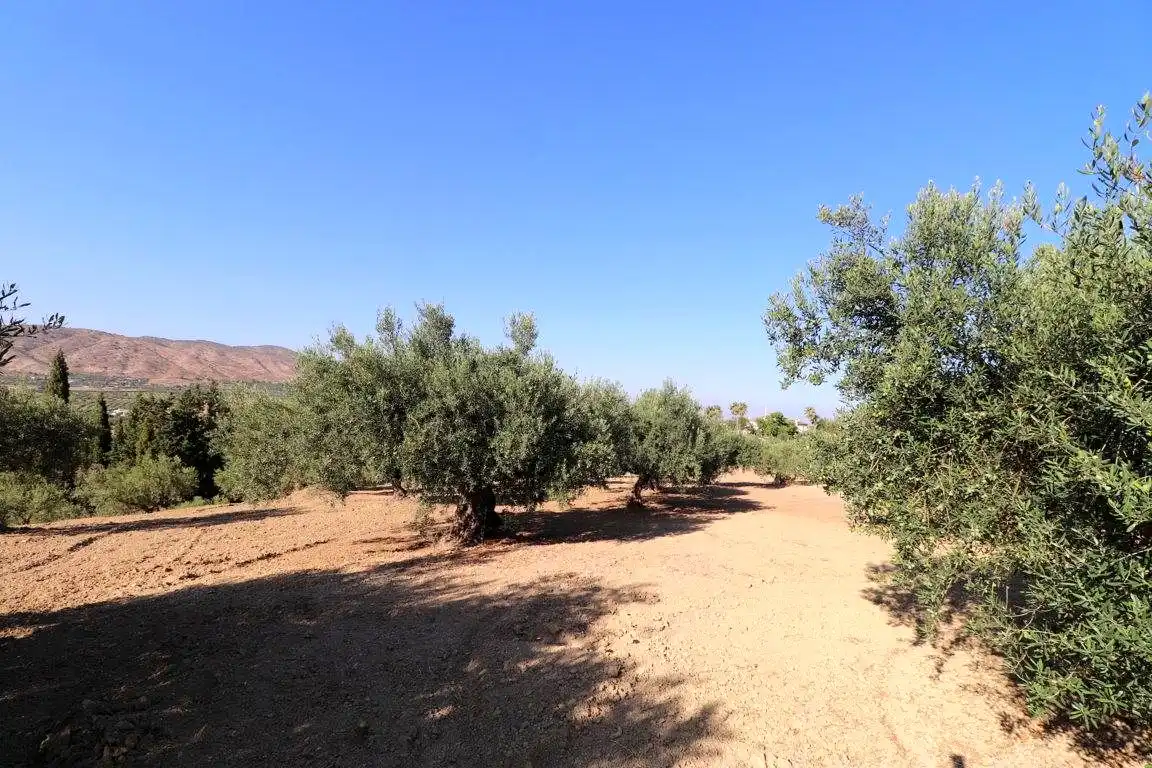 Finca rústica en venta en Alhaurín El Grande