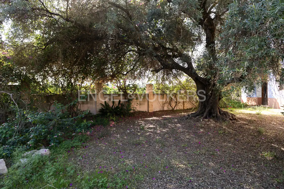 Maison avec piscine à vendre à Carcaixent, imagen 68