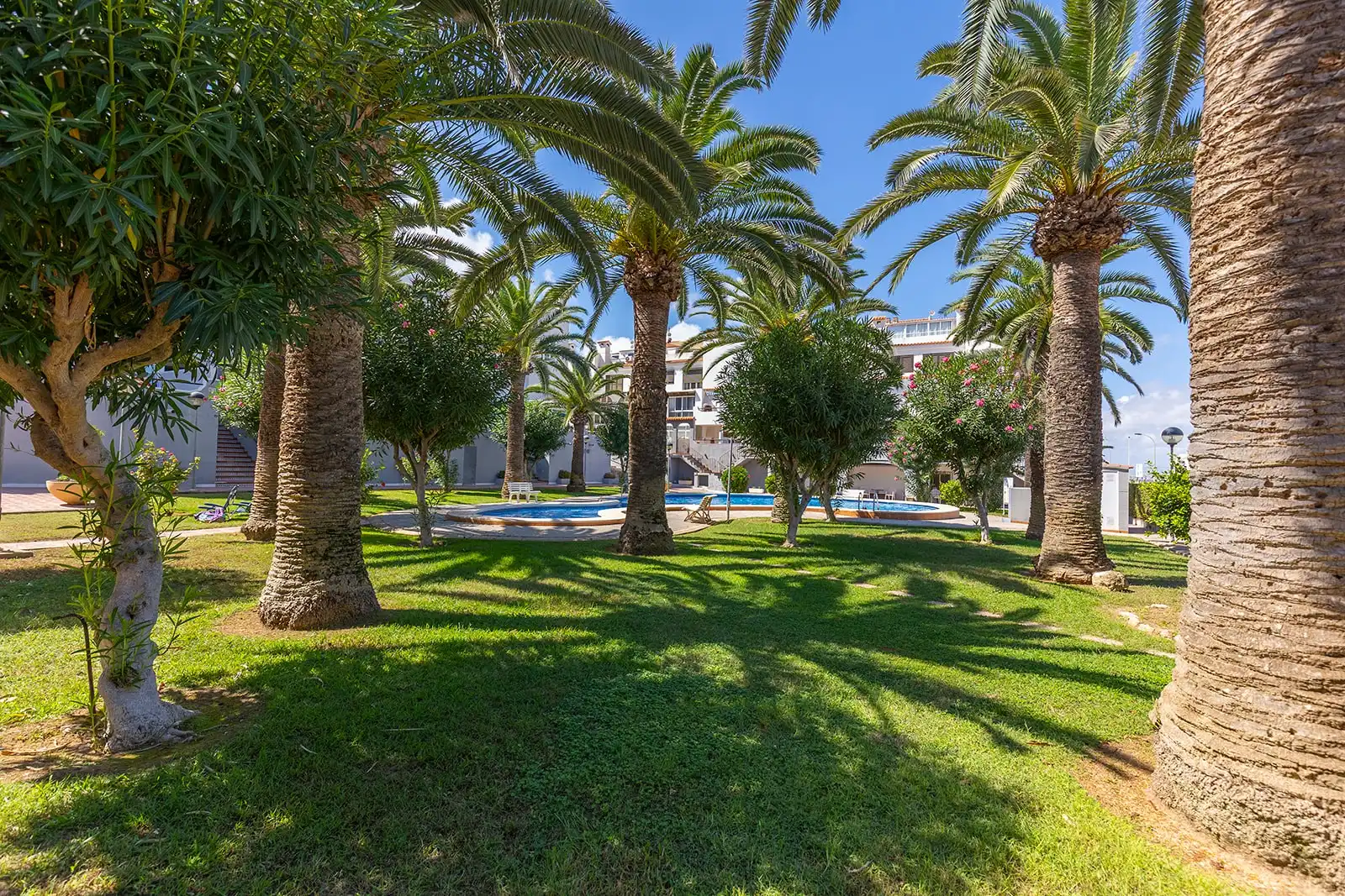 Penthouse with terrace for sale in Nueva Torrevieja - Aguas Nuevas, imagen 30