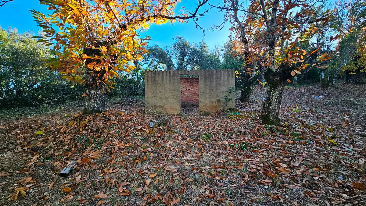 Terreni e lotti in vendita a Fuenteheridos, imagen 8